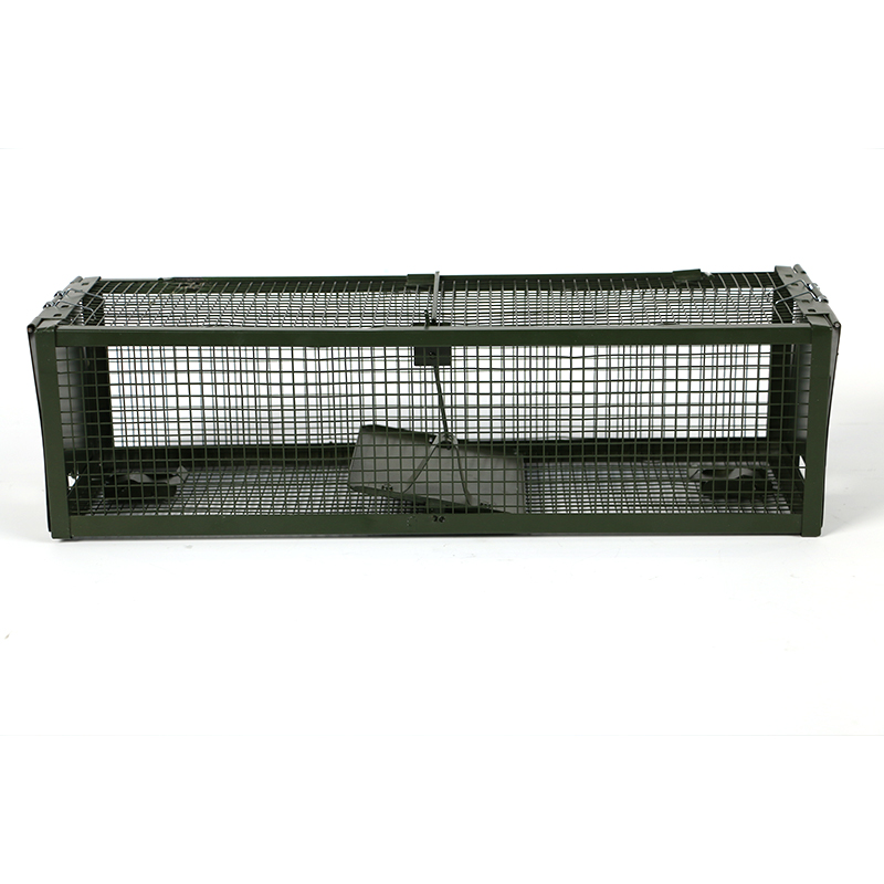 Collapsible humane galvanized wire animal trap cages